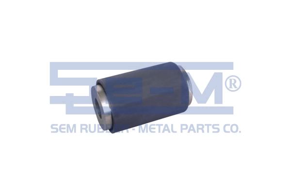 Bushing, leaf spring